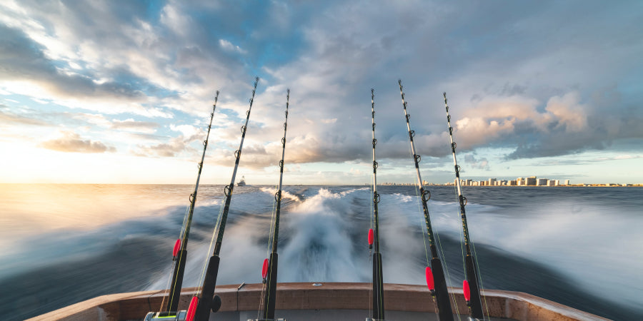 6 fishing rods on back of boat