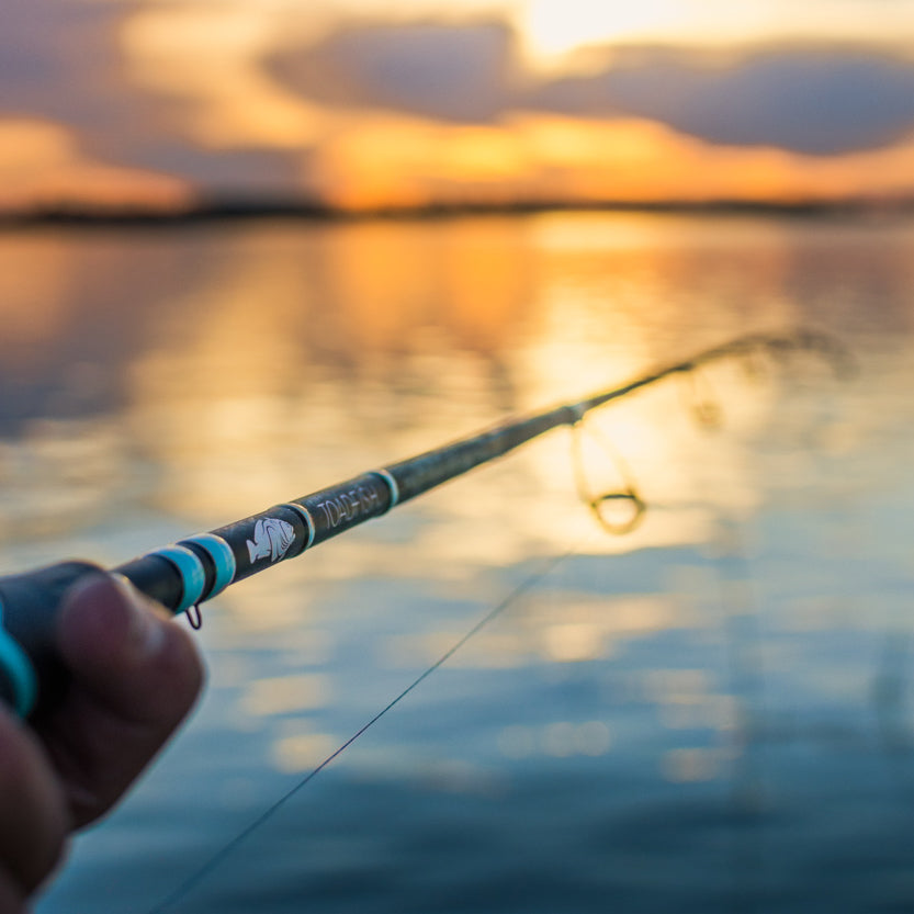 Toad Fish Fly Rpd Toadfish 2-Piece Medium Heavy Fast Spinning Rod - 7'2