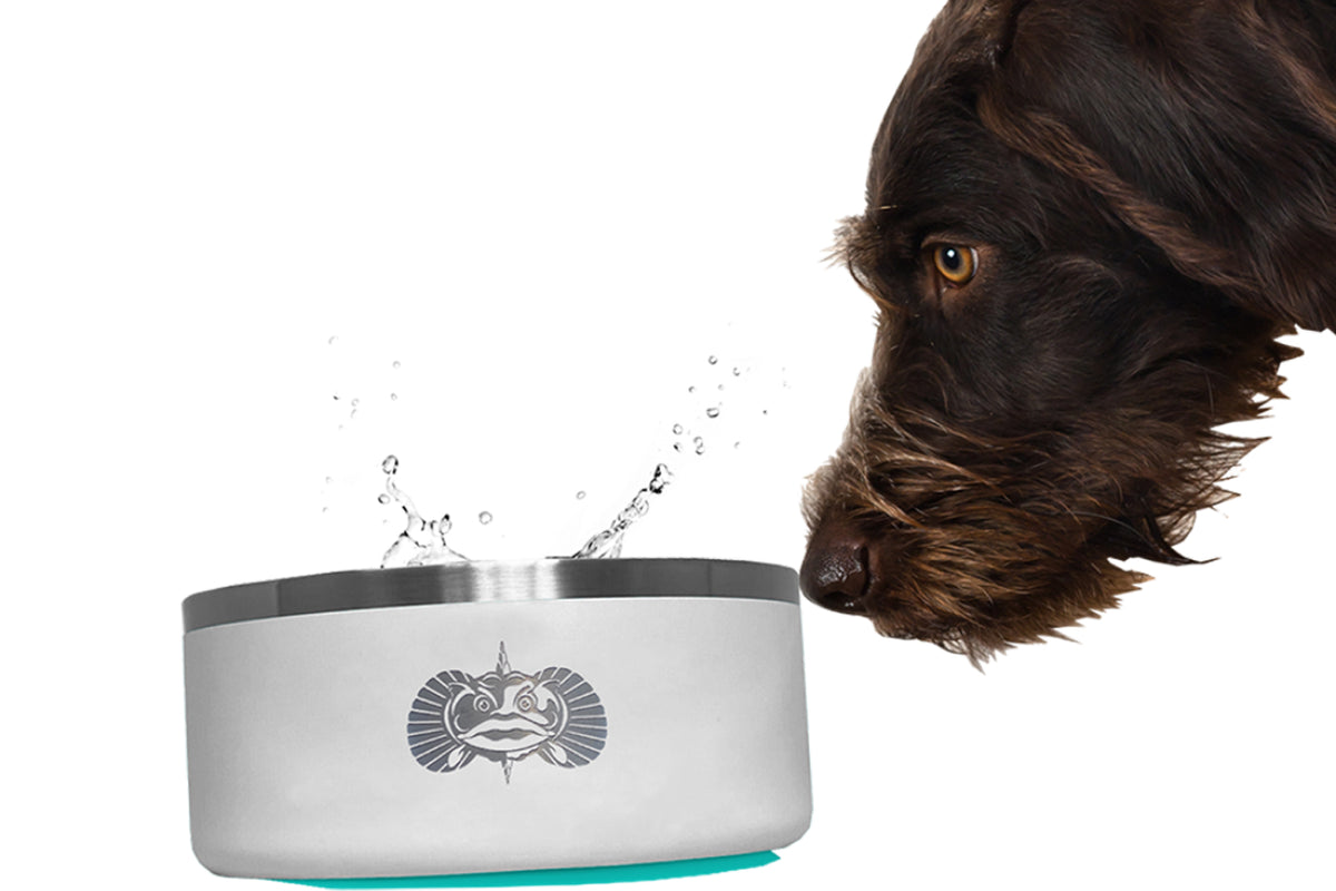 Toadfish Non-Tipping Dog Bowls - Dog